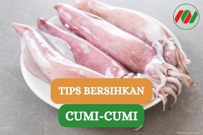 5 Tips Bersihkan Cumi-cumi Agar Higienis